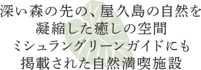 深い森の先の、屋久島の自然を凝縮した癒しの空間。ミシュラングリーンガイドにも掲載された自然満喫施設