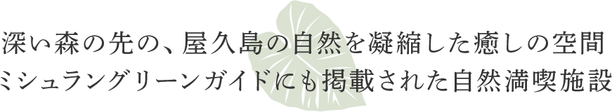 深い森の先の、屋久島の自然を凝縮した癒しの空間。ミシュラングリーンガイドにも掲載された自然満喫施設