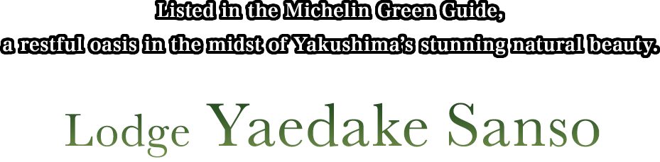 Listed in the Michelin Green Guide,​​​a restful oasis in the midst of Yakushima’s stunning natural beauty. Lodge Yaedake Sanso
